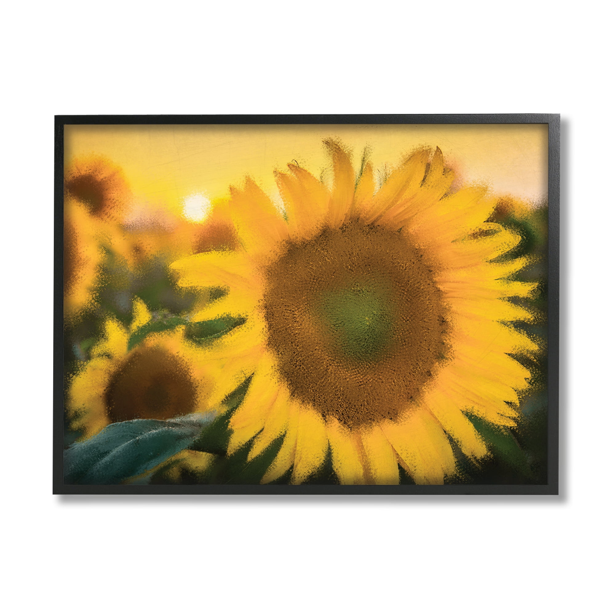 Stupell Industries Sunflower Field Sunrise Realistic Soft Edges Photography Black Framed Art Print Wall Art, 16x20, by Kim Allen