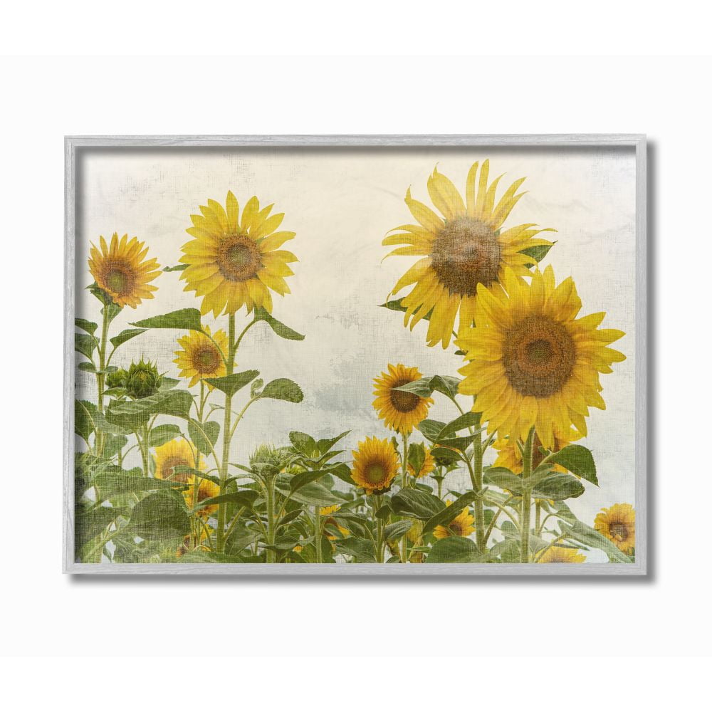 Stupell Industries Sunflower Garden Farm Burlap Textured Design Framed Wall Art by Ann Bailey
