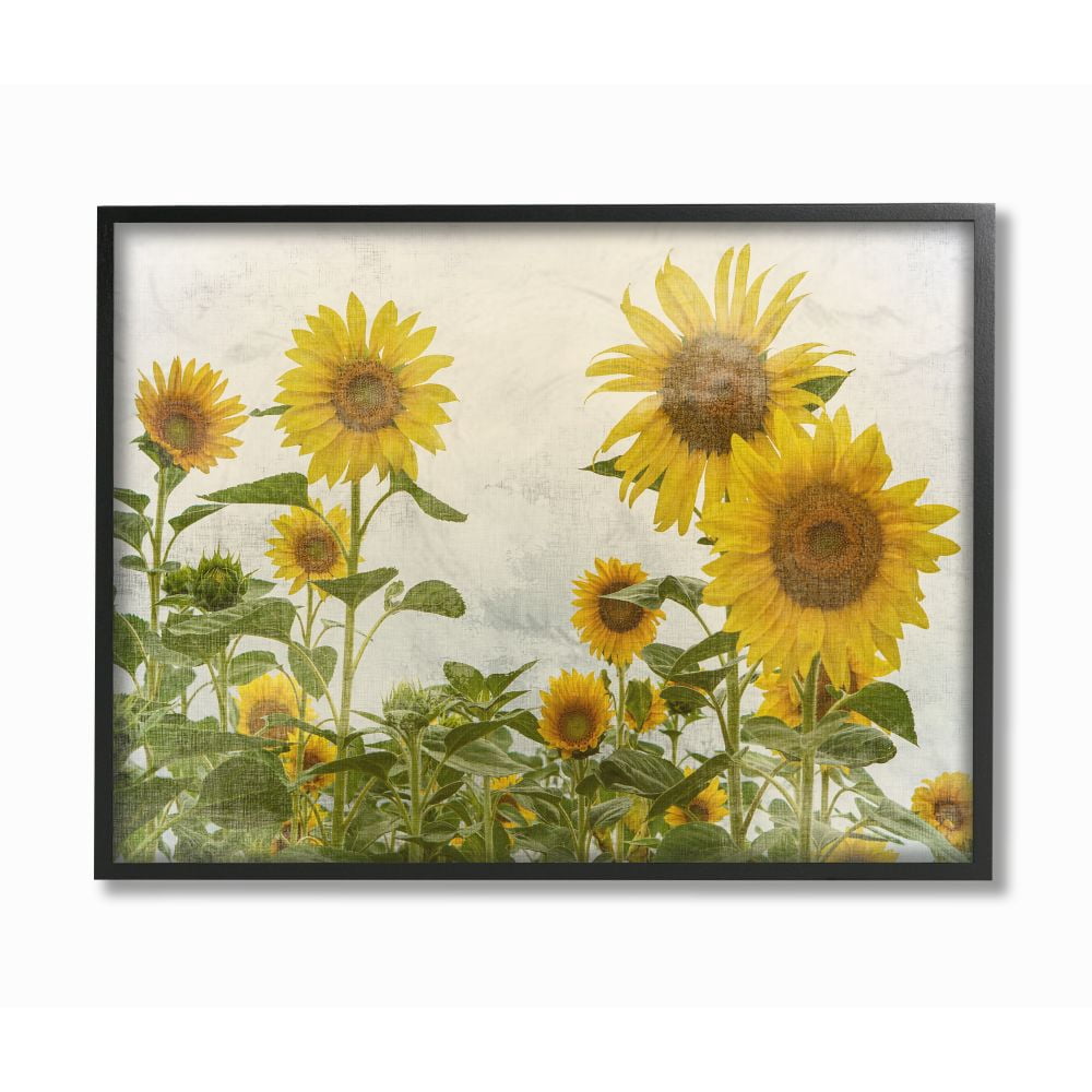 Stupell Industries Sunflower Garden Farm Burlap Textured Design Photography Black Framed Art Print Wall Art, 24x30, by Ann Bailey