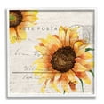 thumbnail image 1 of Stupell Industries Sunflower Illustration over Vintage Mail Post, 24 x 24,Design by Kimberly Allen, 1 of 7
