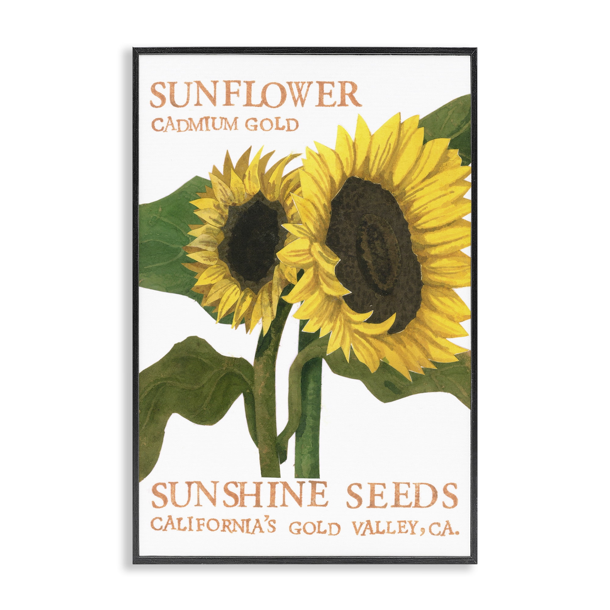 Stupell Industries Sunflower Seeds Design Typography Painting Black Framed Art Print Wall Art, 16 x 24