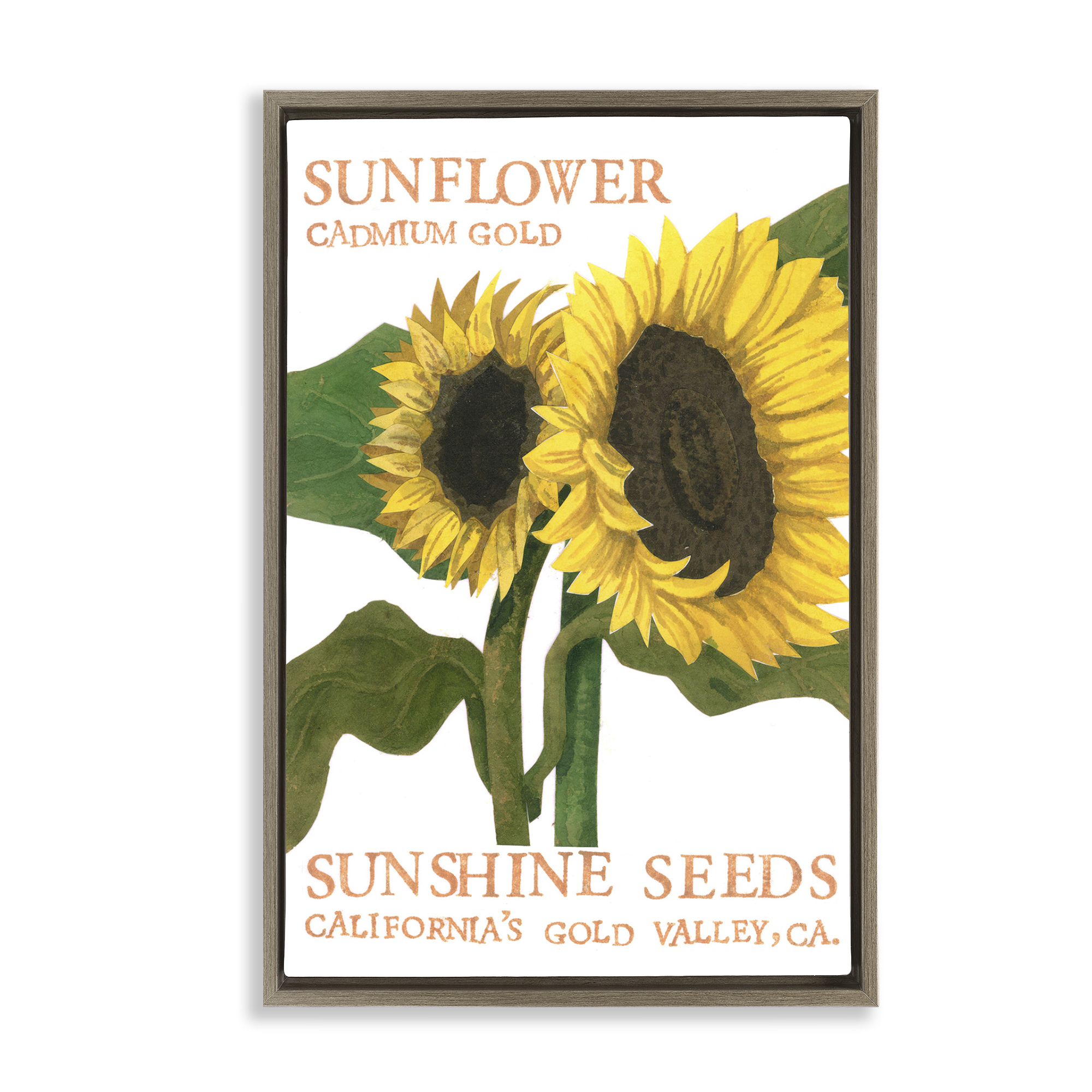 Stupell Industries Sunflower Seeds Design Typography Painting Brown Floater Framed Art Print Wall Art, 17 x 25