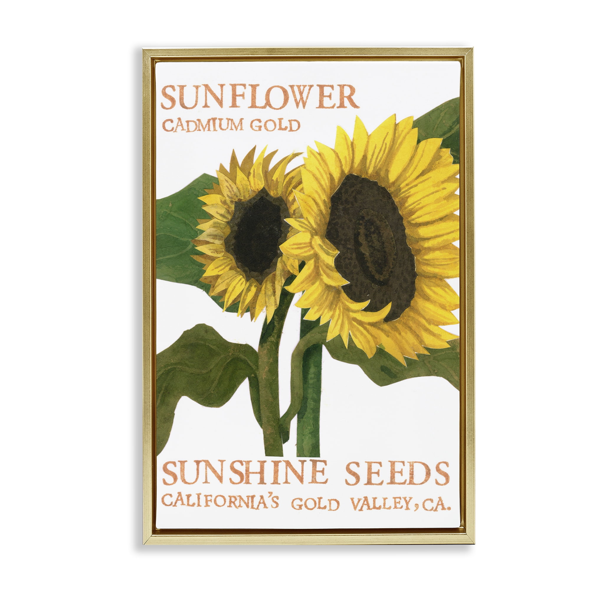 Stupell Industries Sunflower Seeds Design Typography Painting Gold Floater Framed Art Print Wall Art, 17 x 25