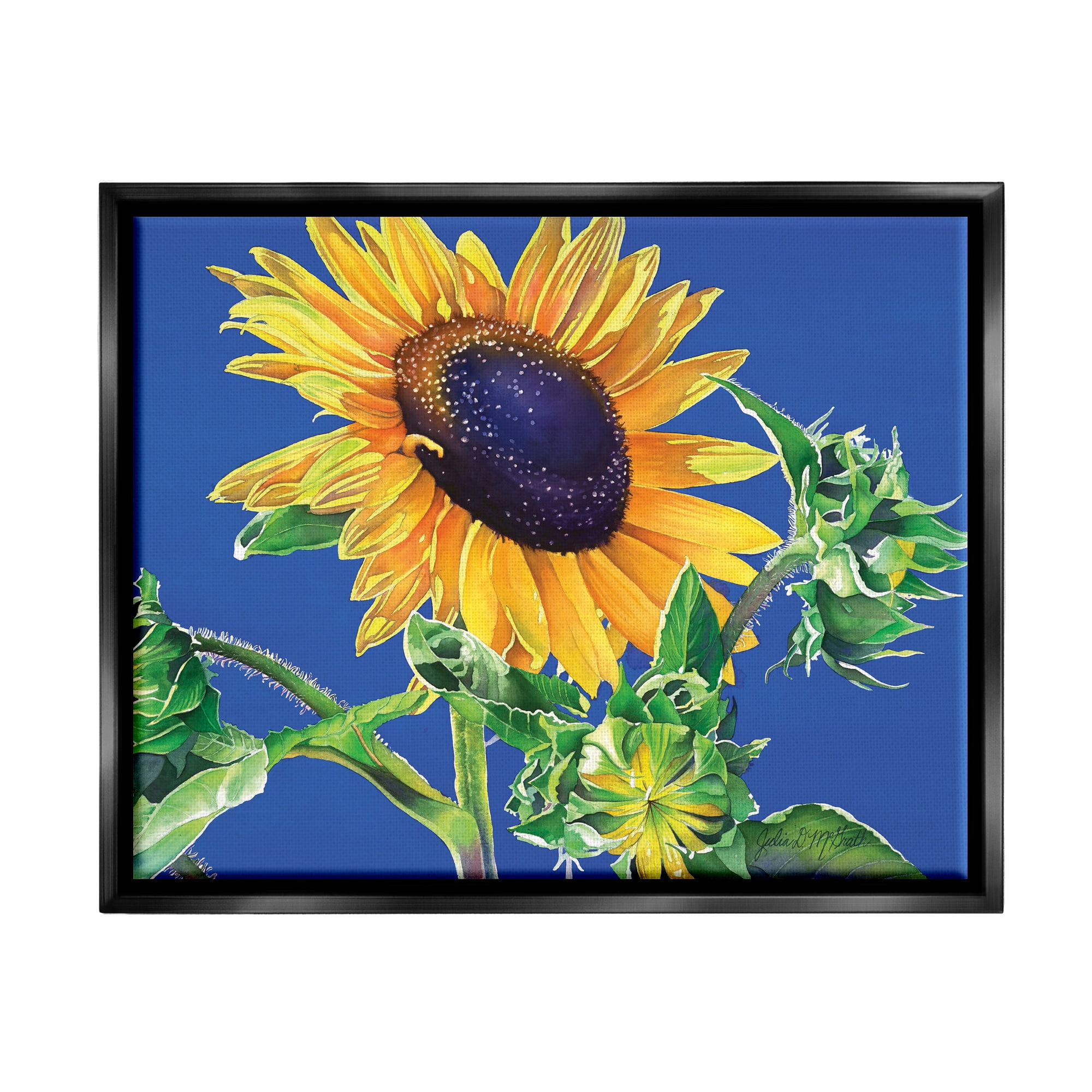 Stupell Industries Sunflower on Blue Botanical & Floral Photography Black Floater Framed Art Print Wall Art, 31 x 25