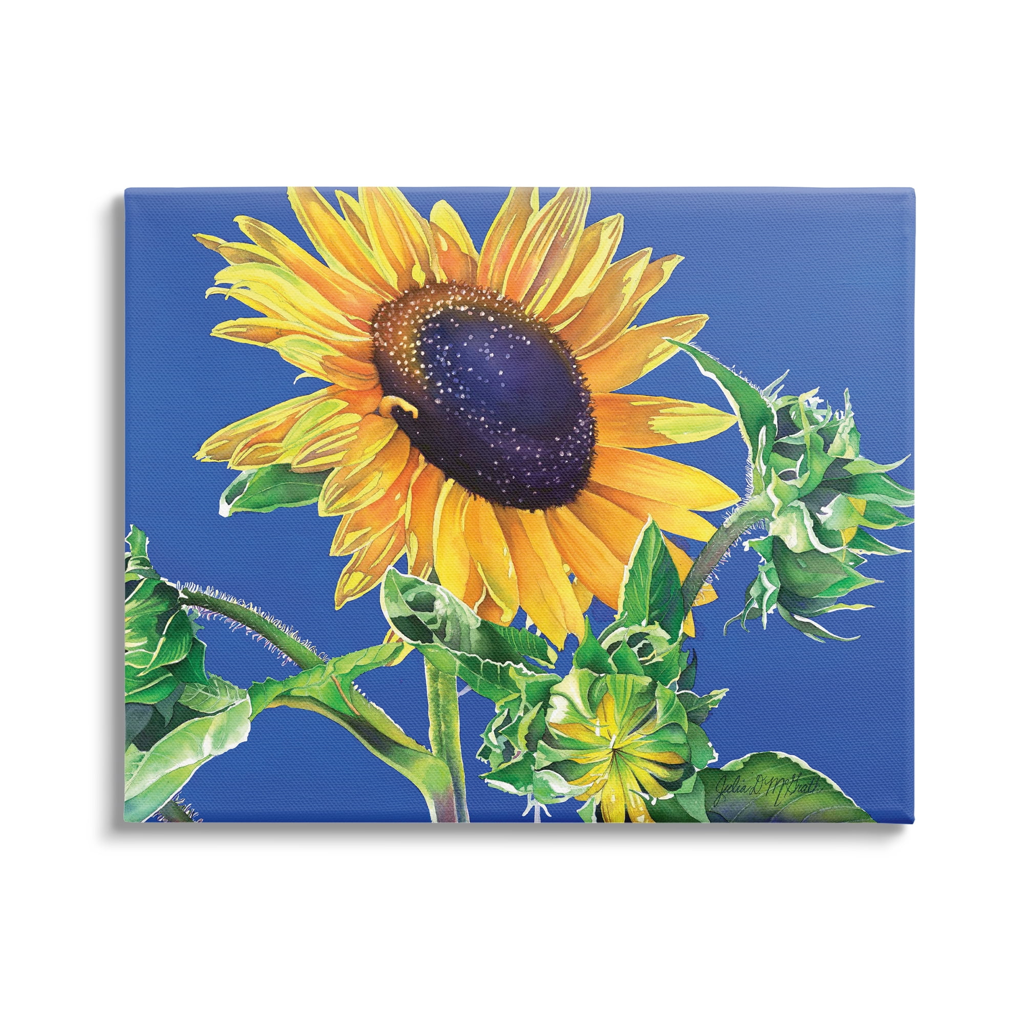 Stupell Industries Sunflower on Blue Botanical & Floral Photography Gallery Wrapped Canvas Print Wall Art, 30 x 24