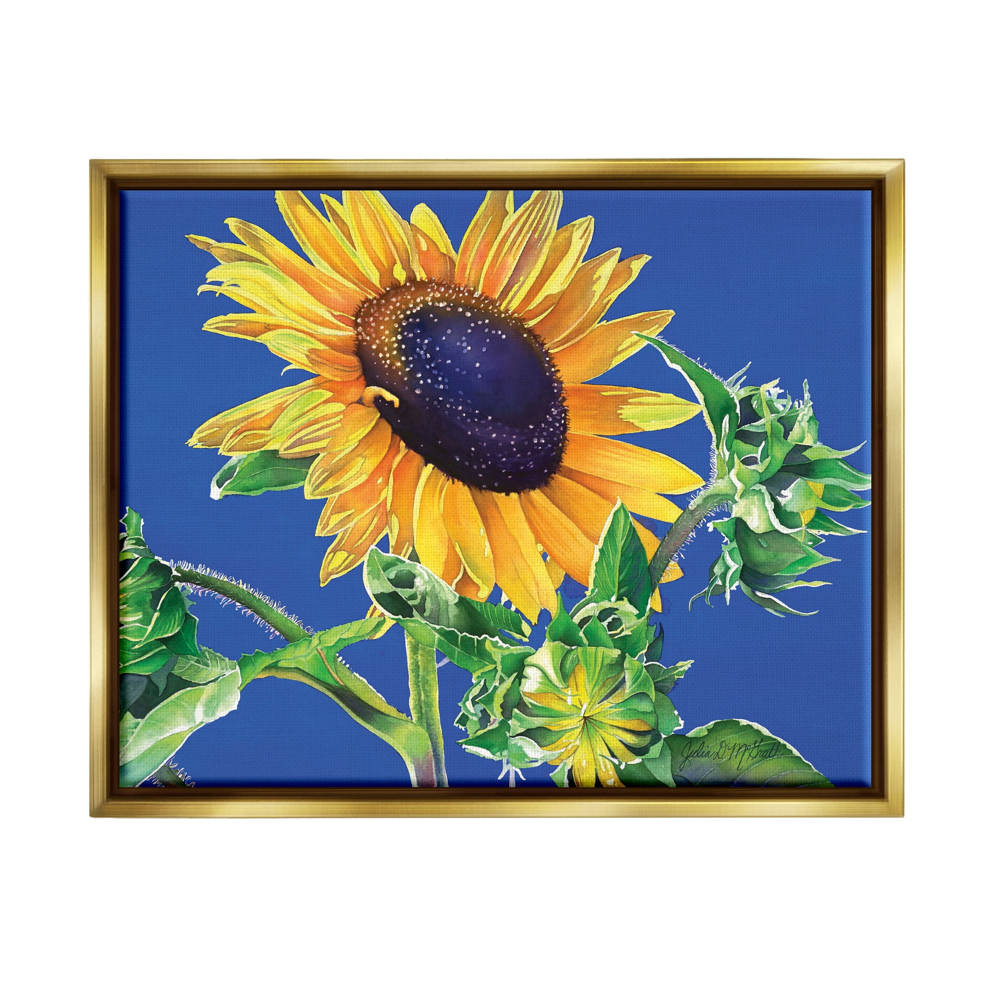 Stupell Industries Sunflower on Blue Botanical & Floral Photography Gold Floater Framed Art Print Wall Art, 21 x 17