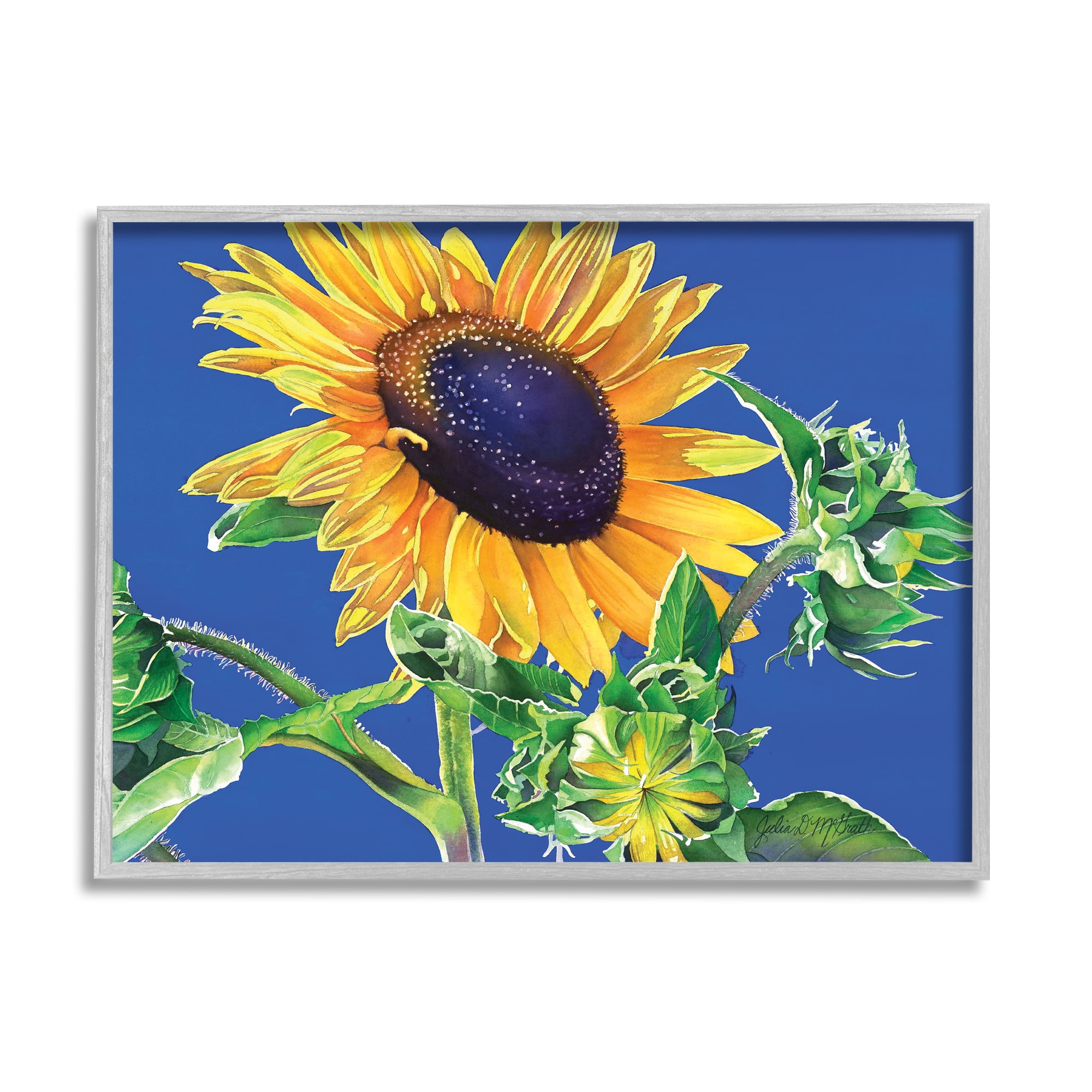 Stupell Industries Sunflower on Blue Botanical & Floral Photography Gray Framed Art Print Wall Art, 30 x 24