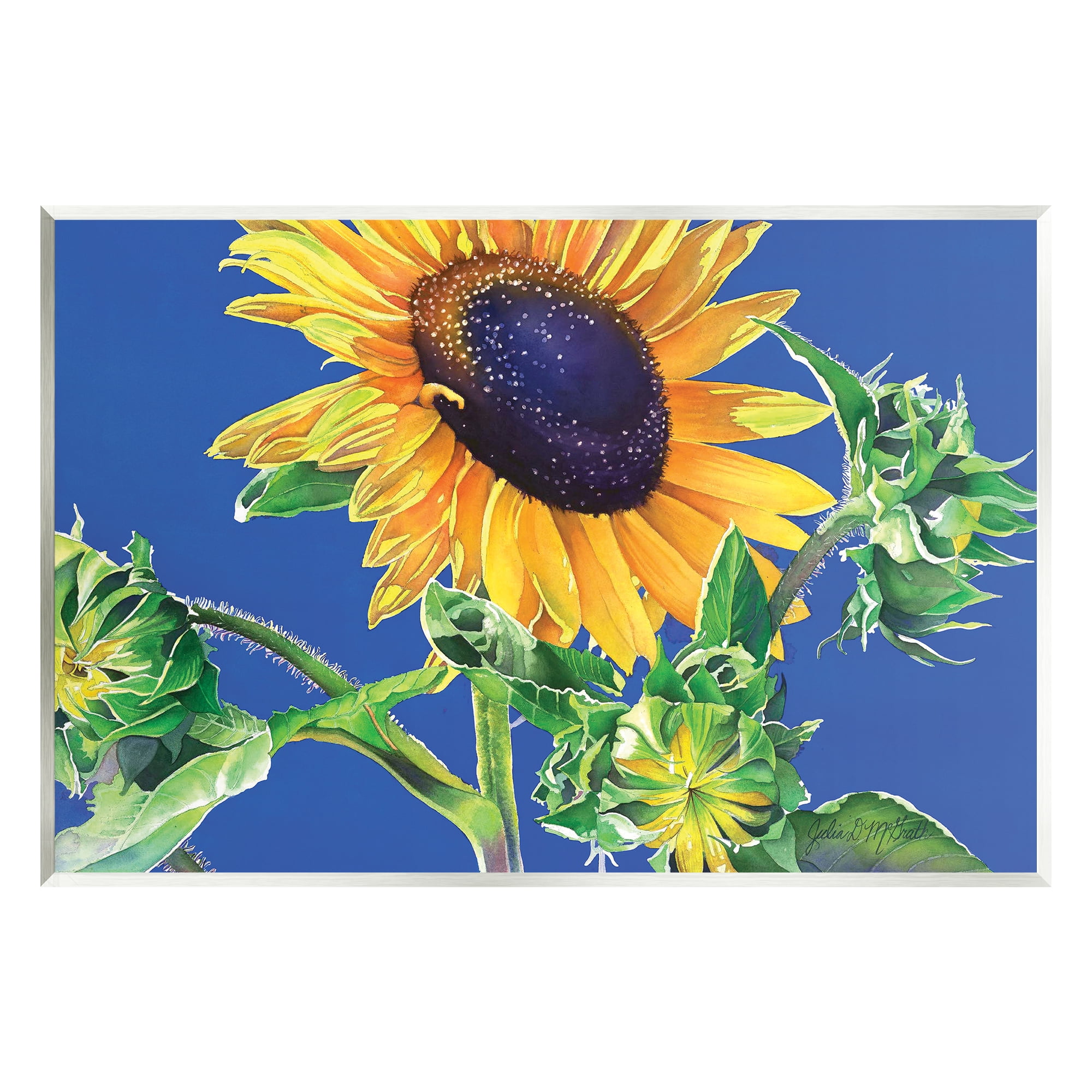 Stupell Industries Sunflower on Blue Botanical & Floral Photography Unframed Art Print Wall Art, 15 x 10
