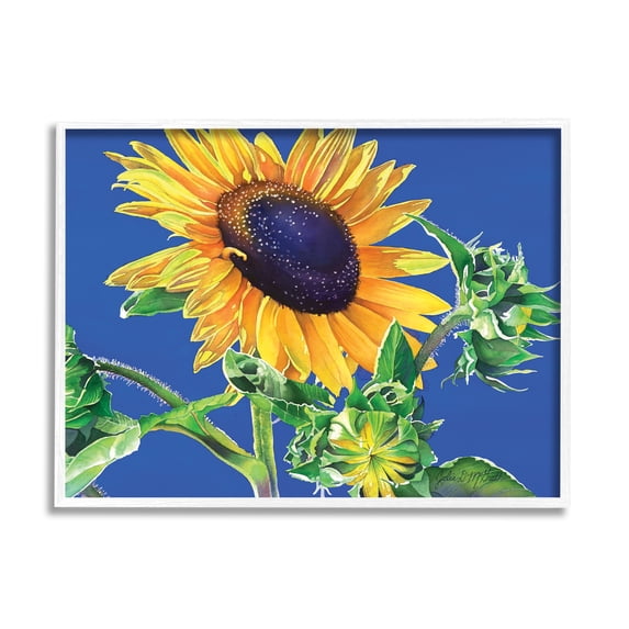 Stupell Industries Sunflower on Blue Botanical & Floral Photography White Framed Art Print Wall Art, 20 x 16
