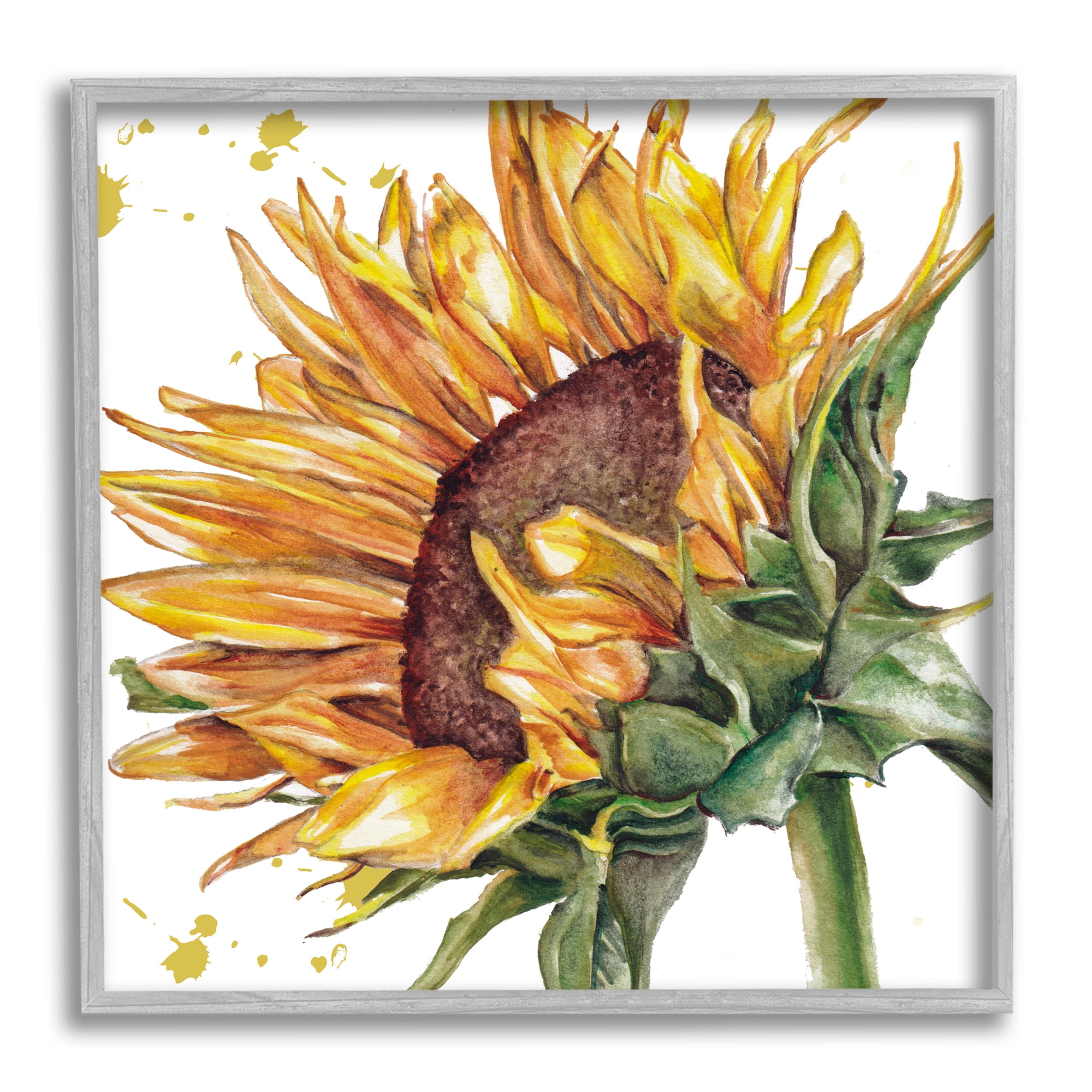 Stupell Industries Sunflower with Modern Splash Botanical & Floral Painting Gray Framed Art Print Wall Art, 24 x 24