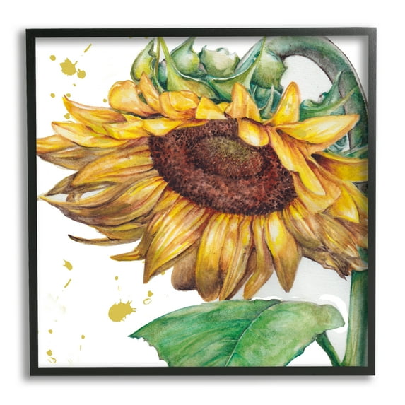 Stupell Industries Sunflower with Paint Splatter Botanical & Floral Painting Black Framed Art Print Wall Art, 17 x 17