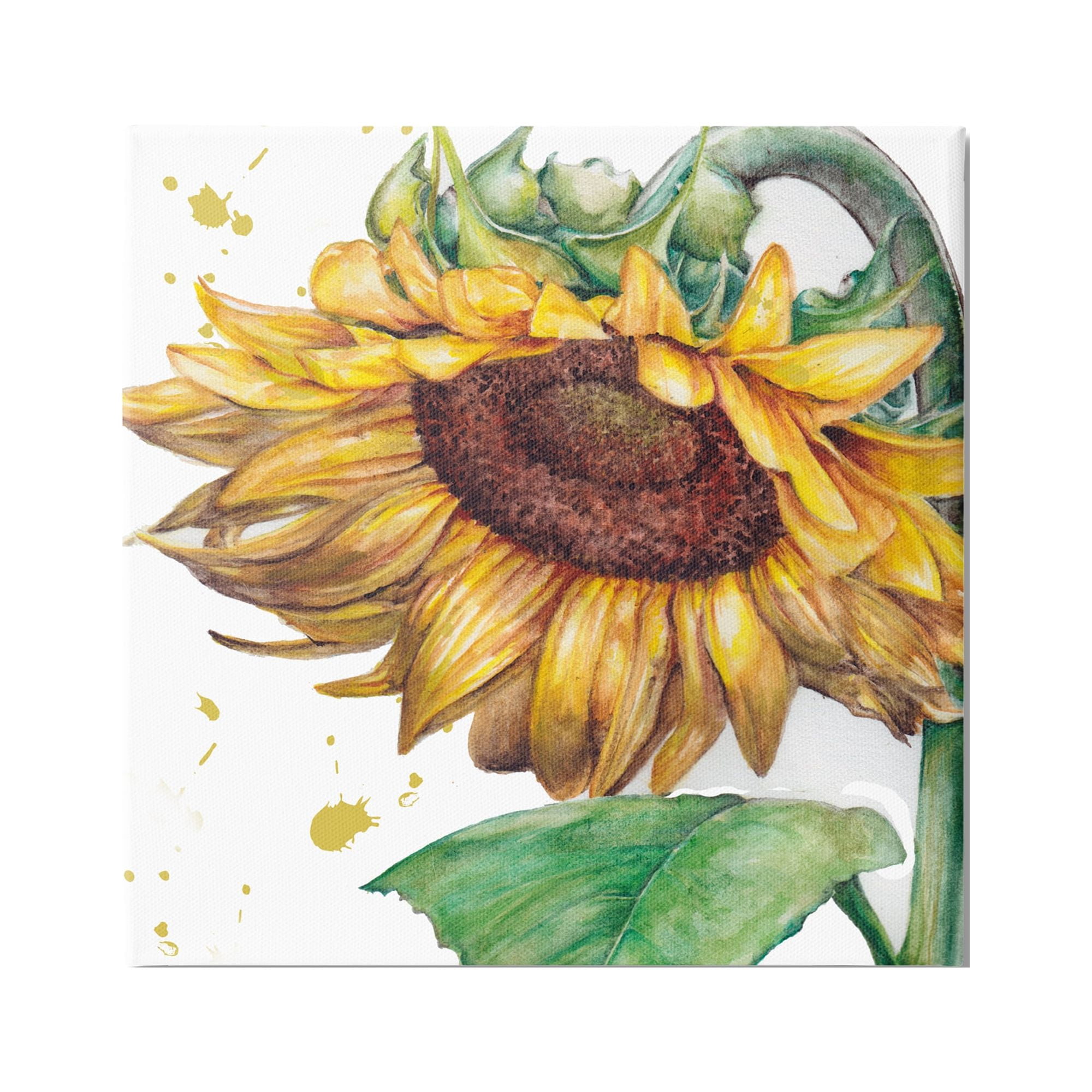 Stupell Industries Sunflower with Paint Splatter Botanical & Floral Painting Gallery Wrapped Canvas Art Print Wall Art, 24 x 24