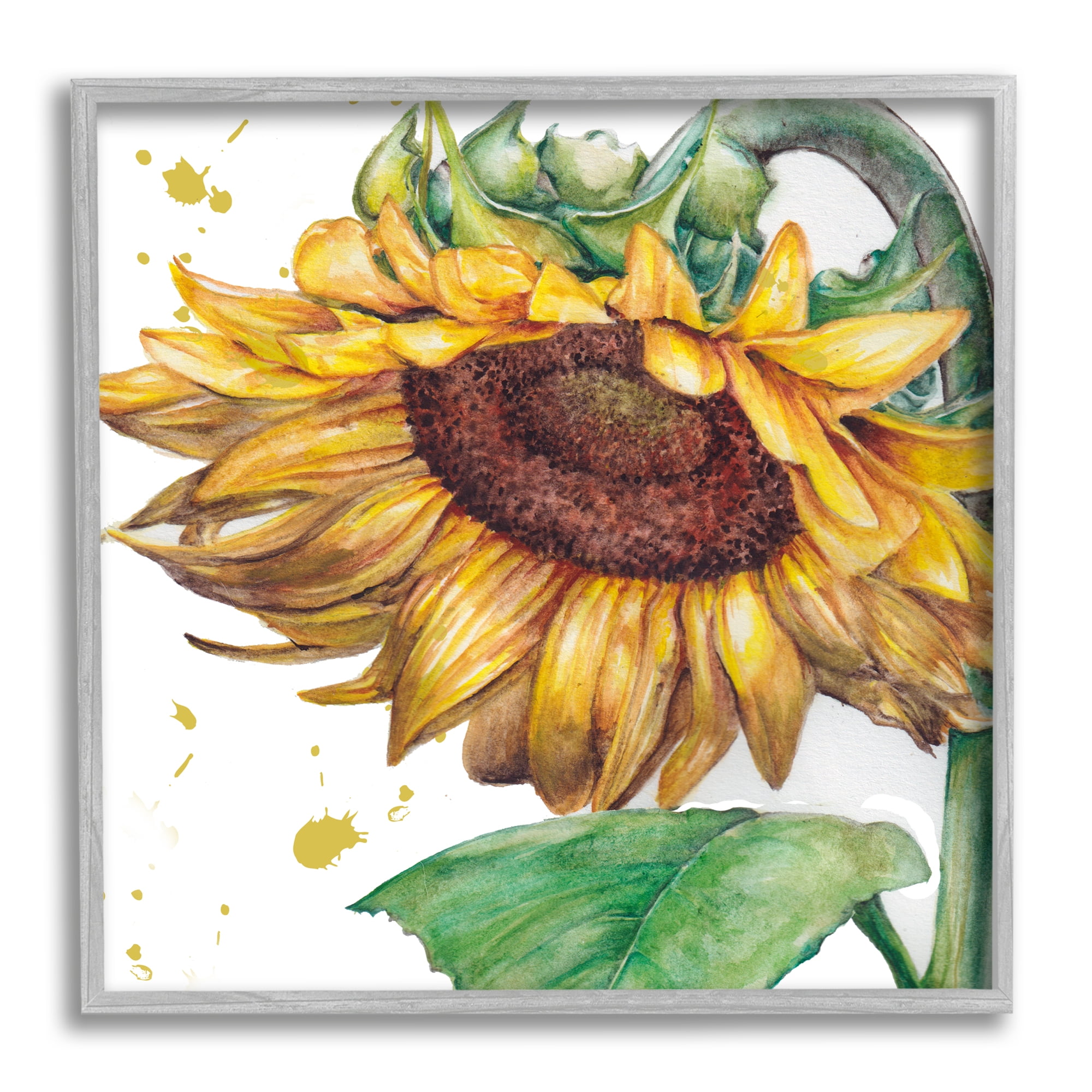 Stupell Industries Sunflower with Paint Splatter Botanical & Floral Painting Gray Framed Art Print Wall Art, 12 x 12