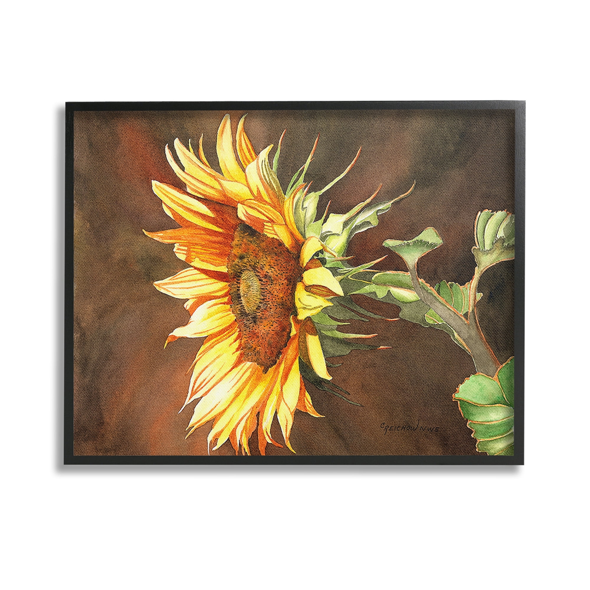 Stupell Industries Sunflower with Vivid Light Botanical & Floral Painting Black Framed Art Print Wall Art, 14 x 11