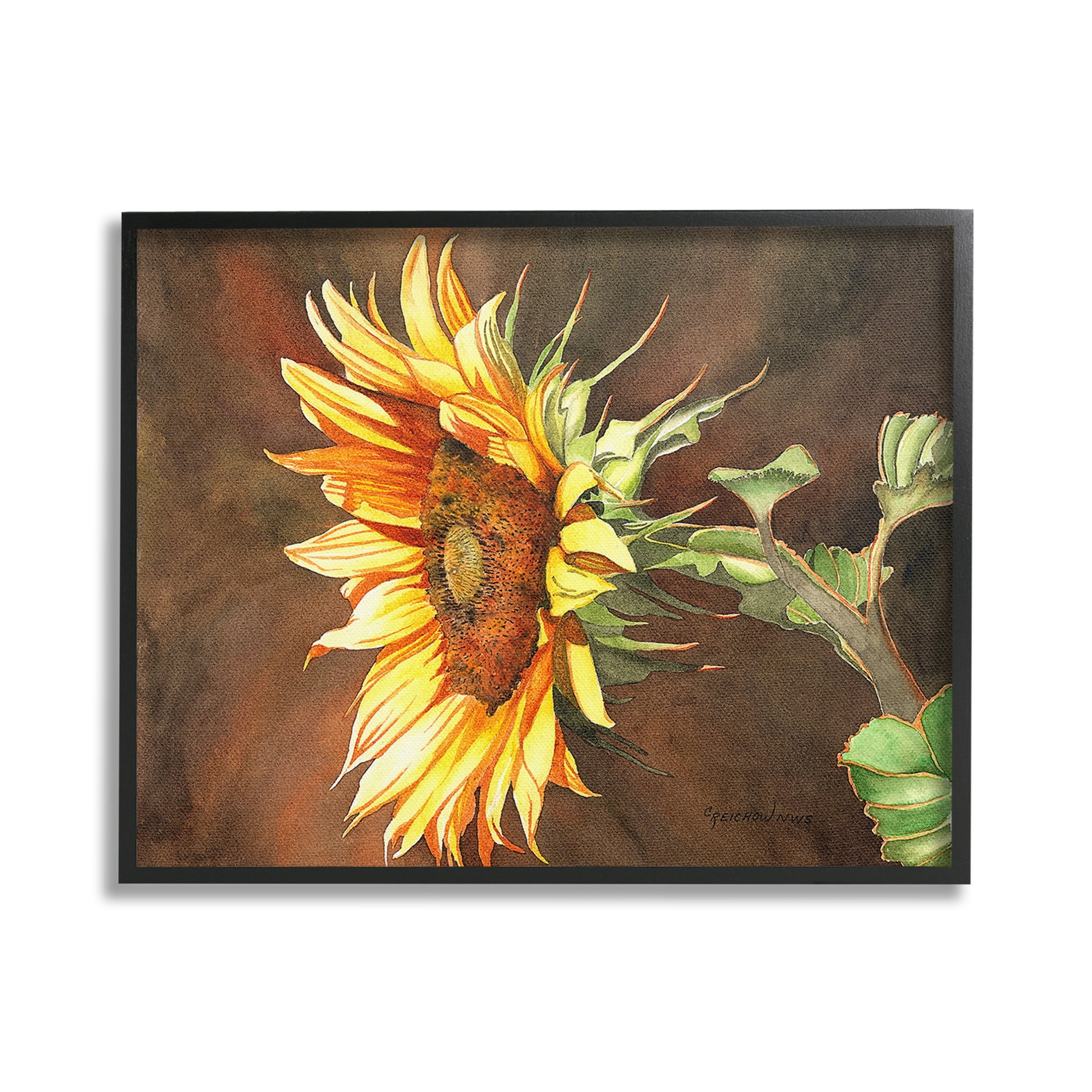 Stupell Industries Sunflower with Vivid Light Botanical & Floral Painting Black Framed Art Print Wall Art, 20 x 16