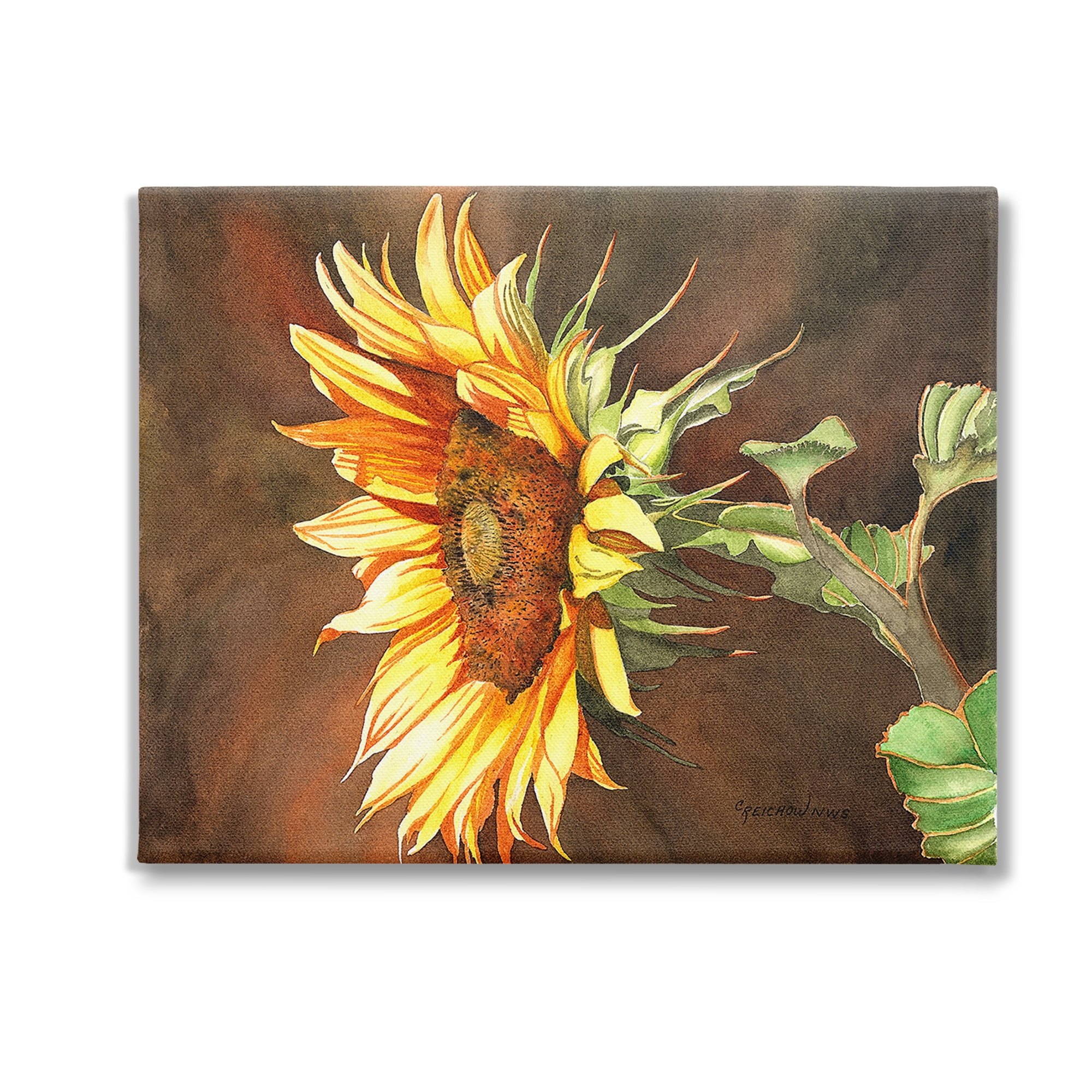 Stupell Industries Sunflower with Vivid Light Botanical & Floral Painting Gallery Wrapped Canvas Art Print Wall Art, 30 x 24