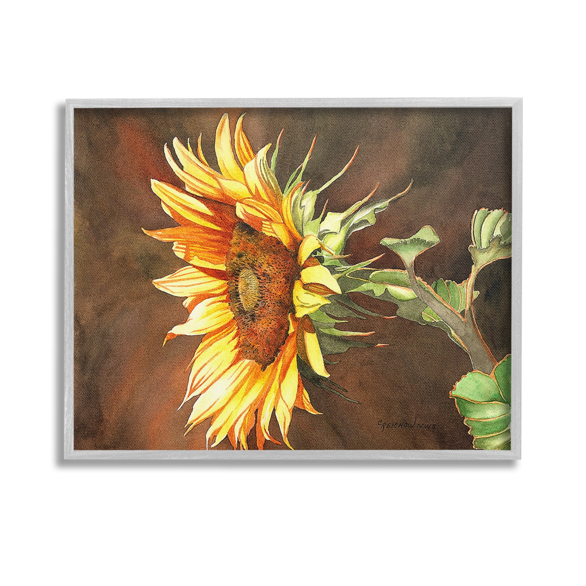 Stupell Industries Sunflower with Vivid Light Botanical & Floral Painting Gray Framed Art Print Wall Art, 14 x 11