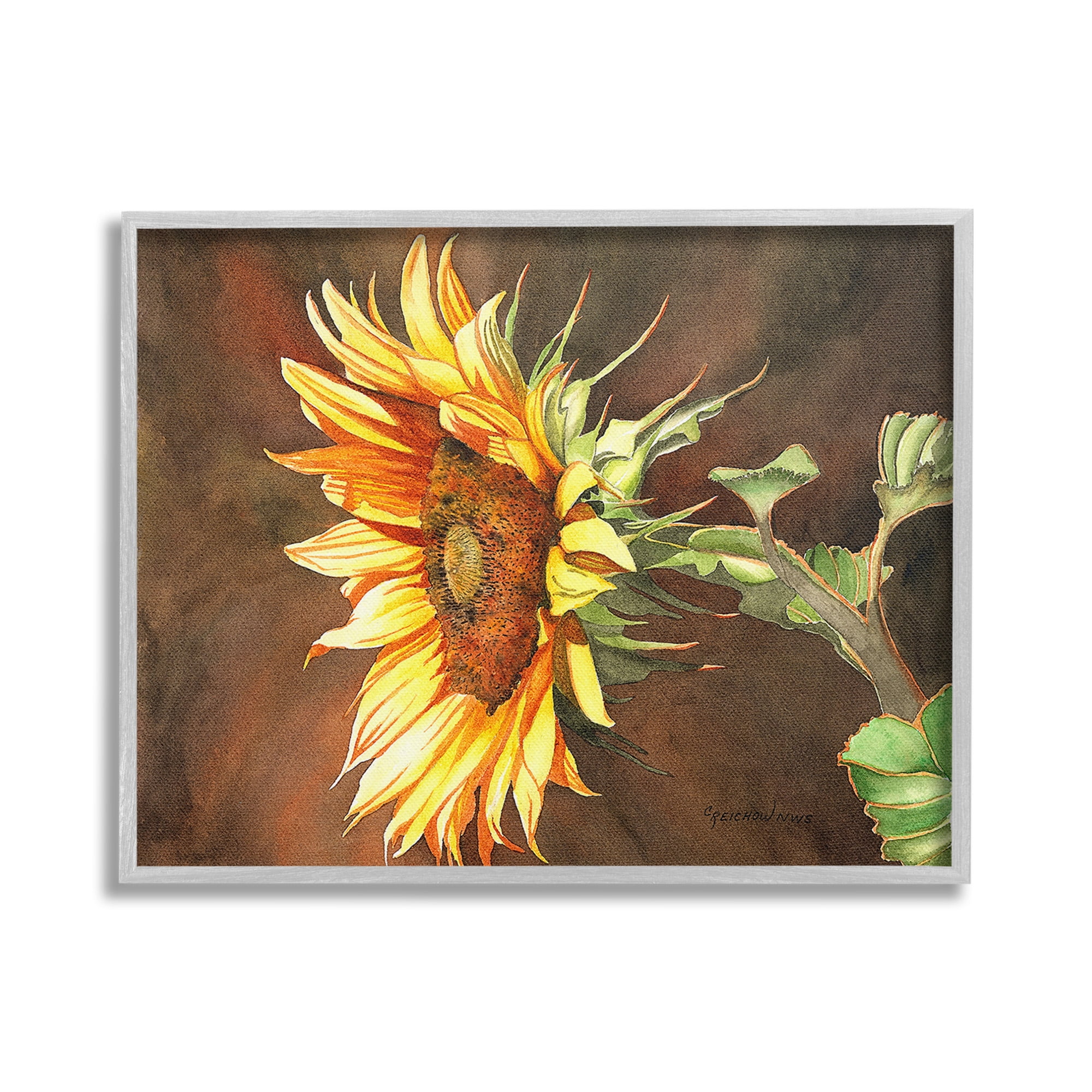 Stupell Industries Sunflower with Vivid Light Botanical & Floral Painting Gray Framed Art Print Wall Art, 30 x 24