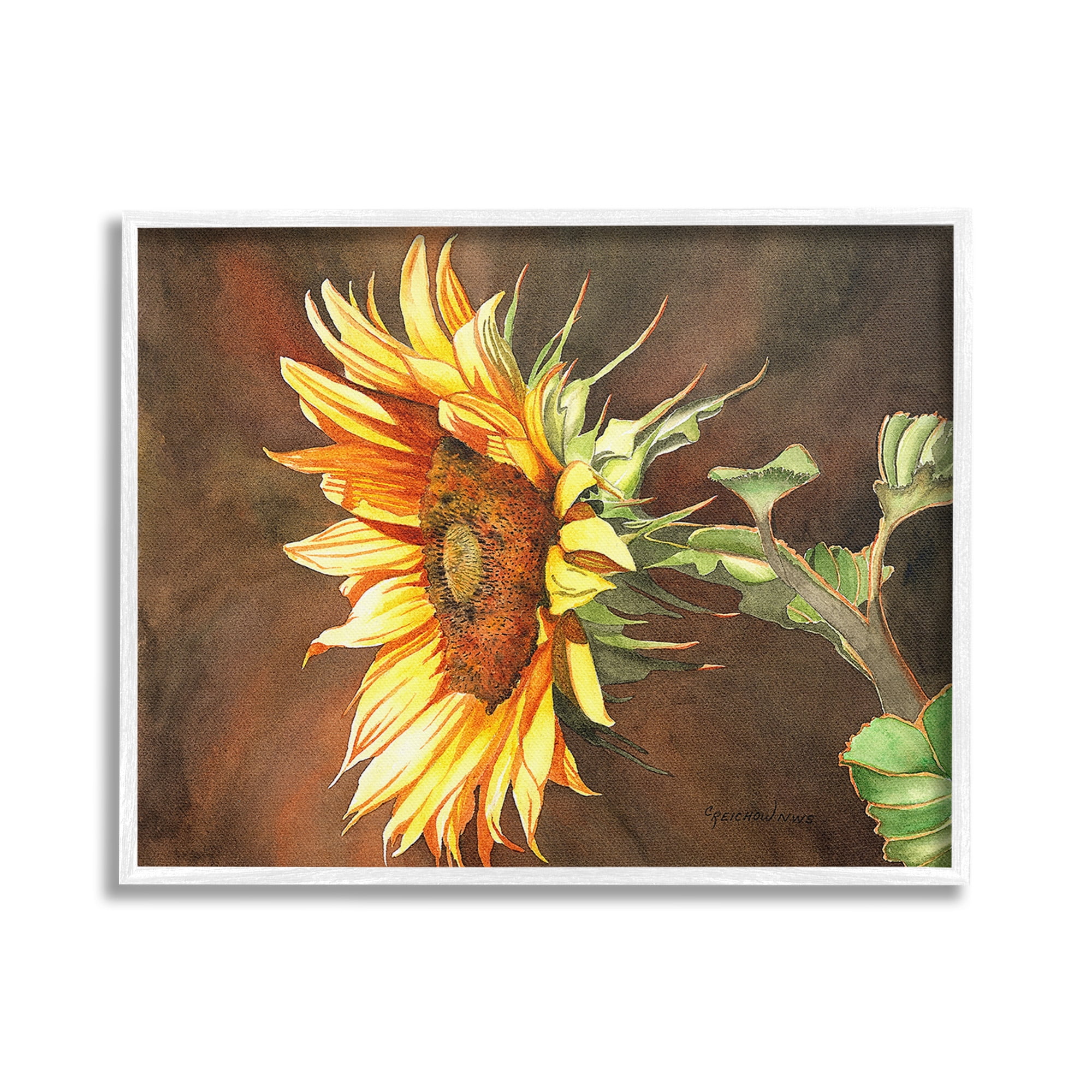 Stupell Industries Sunflower with Vivid Light Botanical & Floral Painting White Framed Art Print Wall Art, 20 x 16