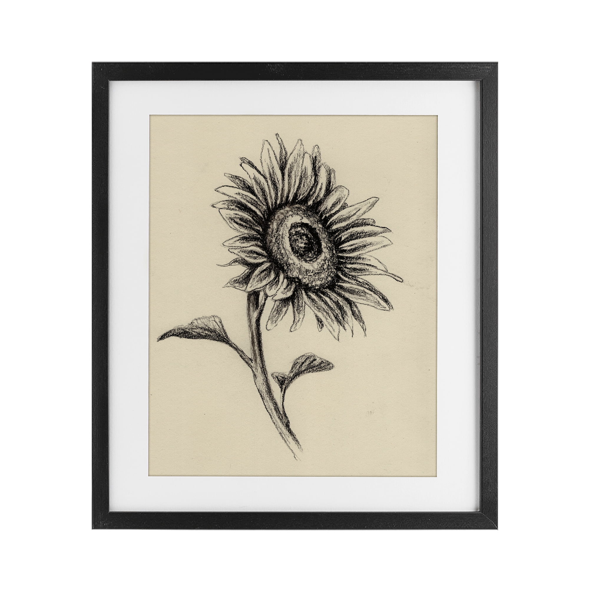 Stupell Industries Sunflowers in Charcoal Black Framed Print Under Glass, design by Leah Noel Art
