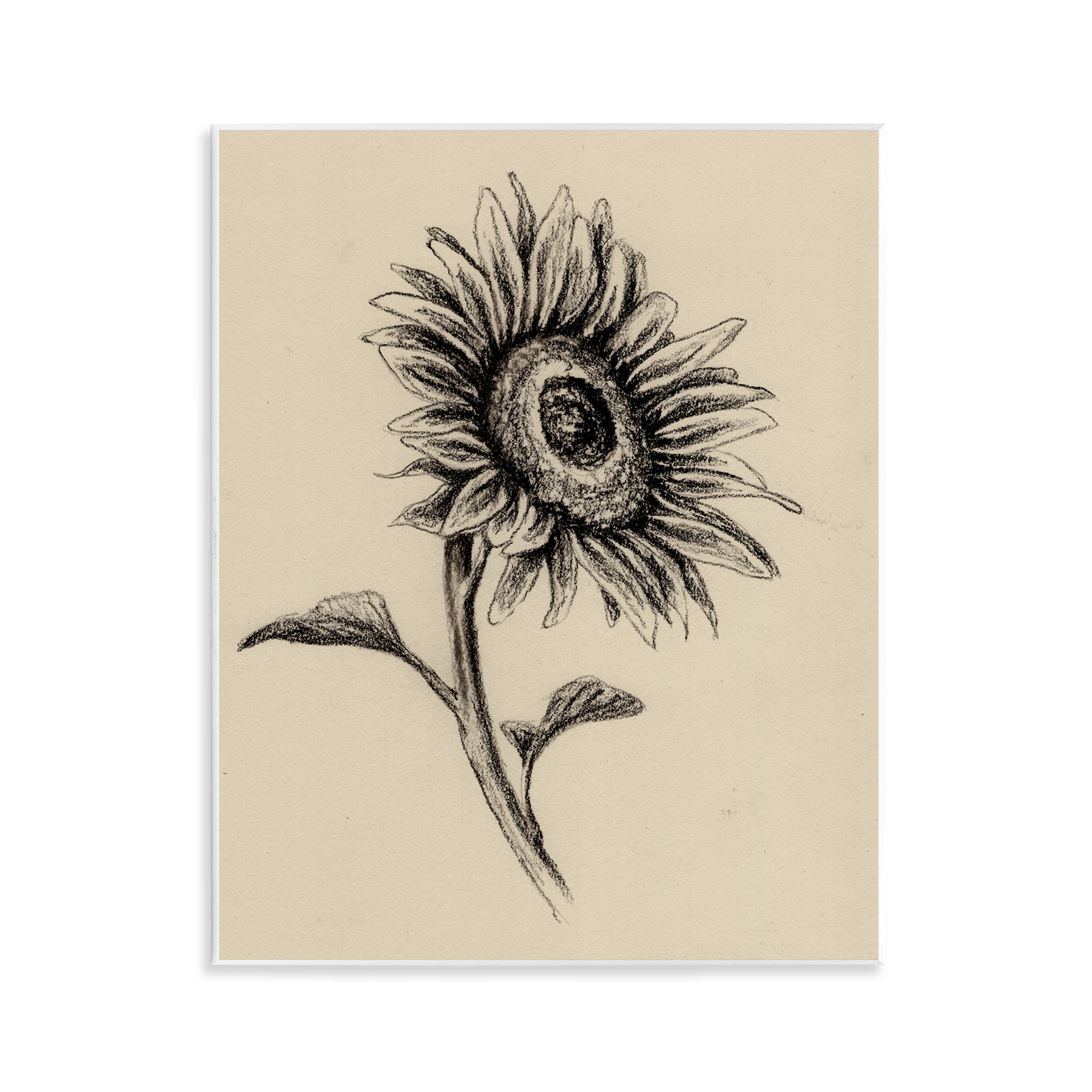 Stupell Industries Sunflowers in Charcoal Wall Plaque Art, design by Leah Noel Art