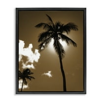 Stupell Industries Sunlight Through Palms Landscape Photography Black Floater Framed Canvas Art Print Wall Art, 17 x 21