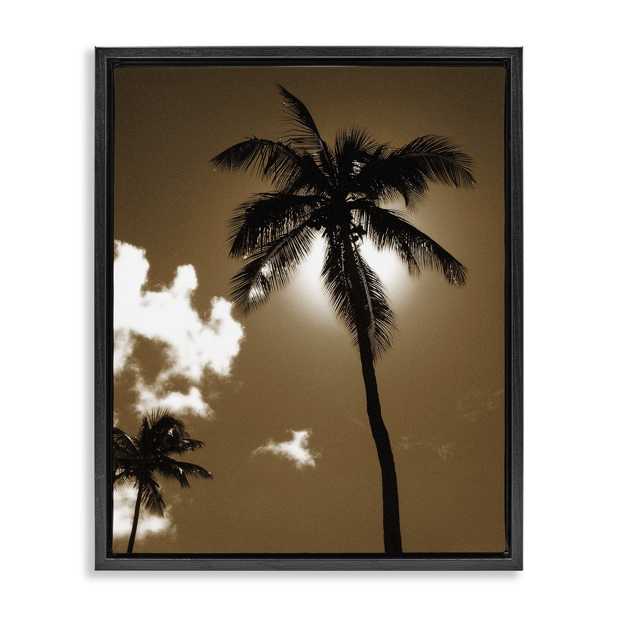 Stupell Industries Sunlight Through Palms Landscape Photography Black Floater Framed Canvas Art Print Wall Art, 25 x 31