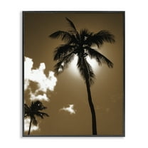 Stupell Industries Sunlight Through Palms Landscape Photography Black Framed Art Print Wall Art, 11 x 14