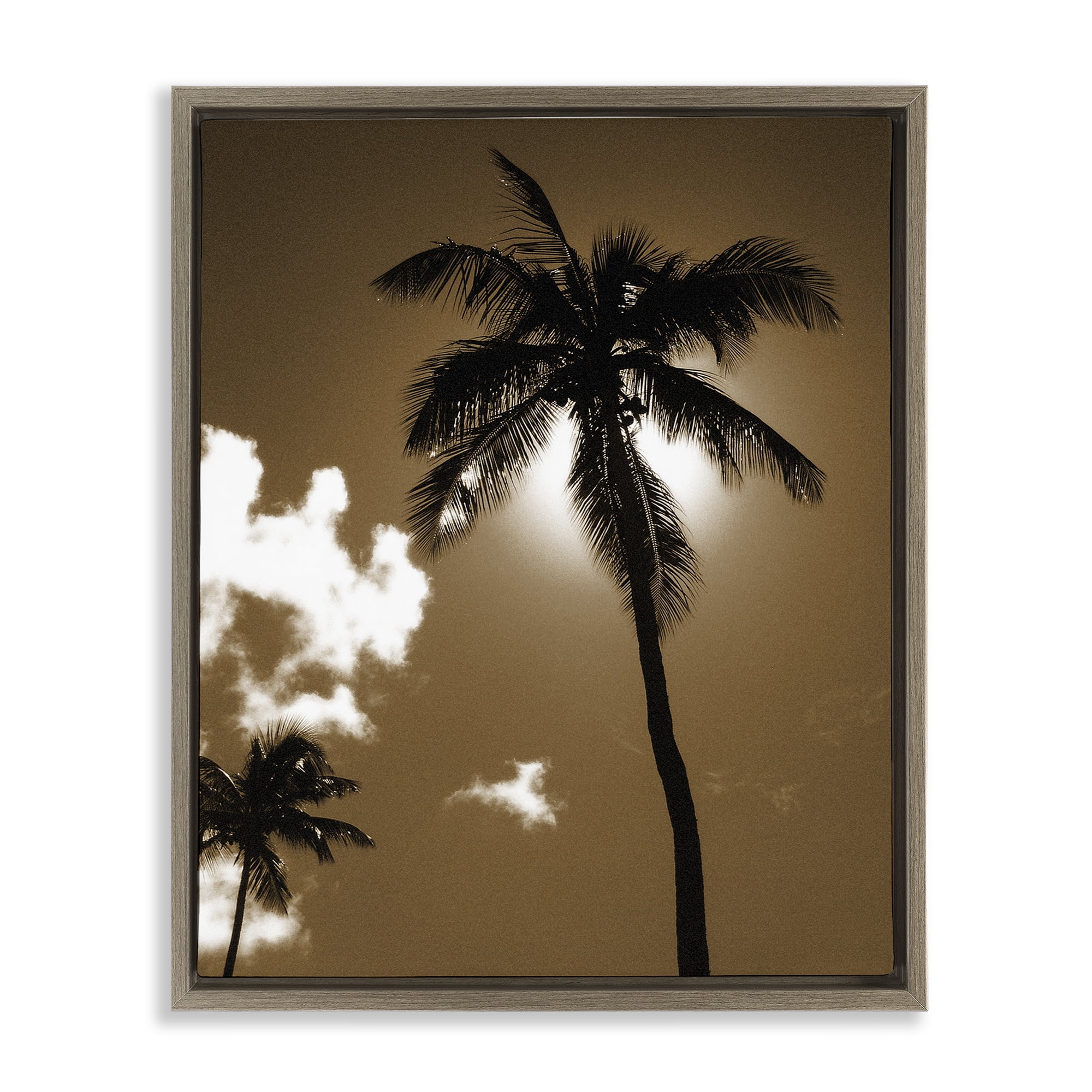 Stupell Industries Sunlight Through Palms Landscape Photography Brown Floater Framed Canvas Art Print Wall Art, 17 x 21