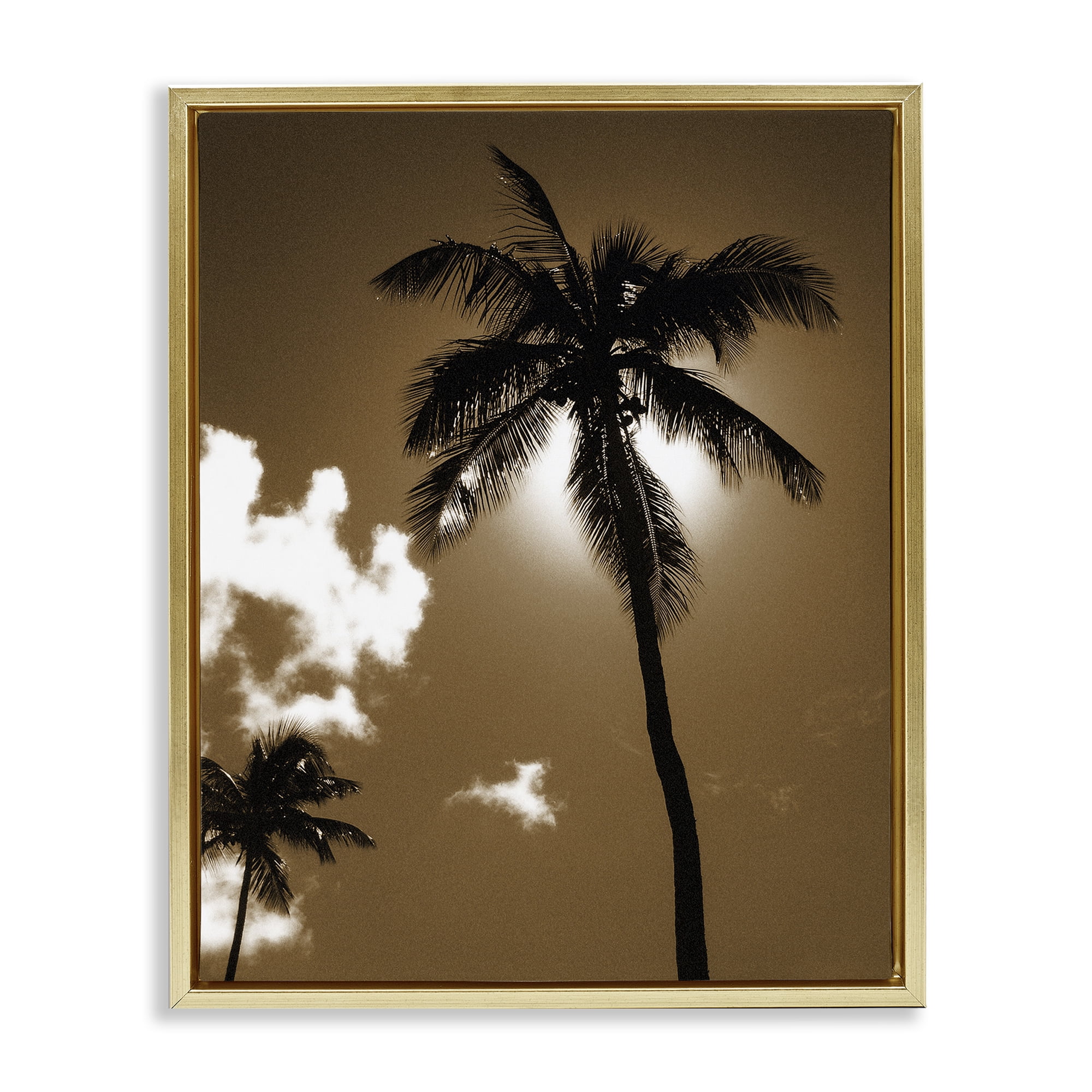 Stupell Industries Sunlight Through Palms Landscape Photography Gold Floater Framed Canvas Art Print Wall Art, 25 x 31