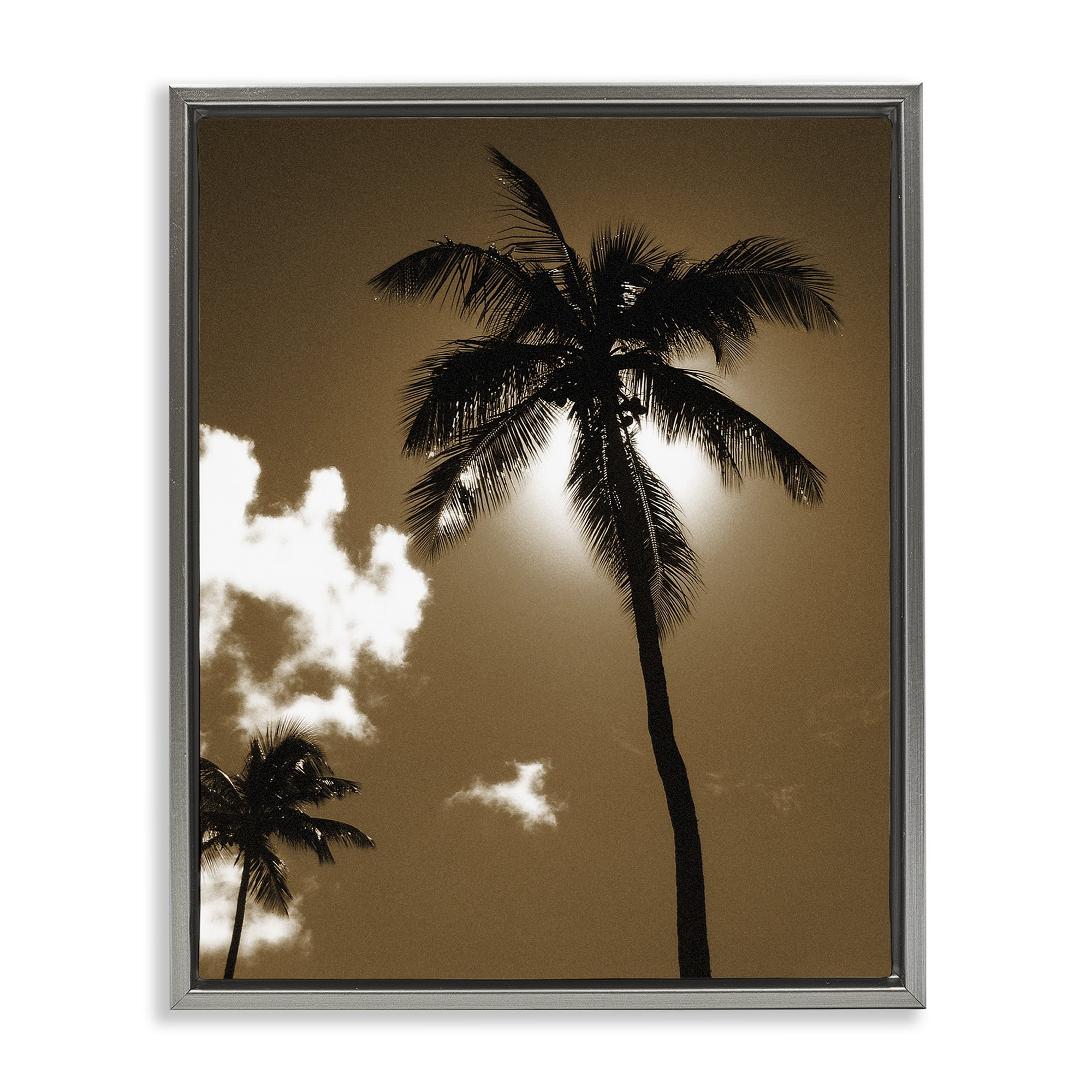 Stupell Industries Sunlight Through Palms Landscape Photography Gray Floater Framed Canvas Art Print Wall Art, 17 x 21