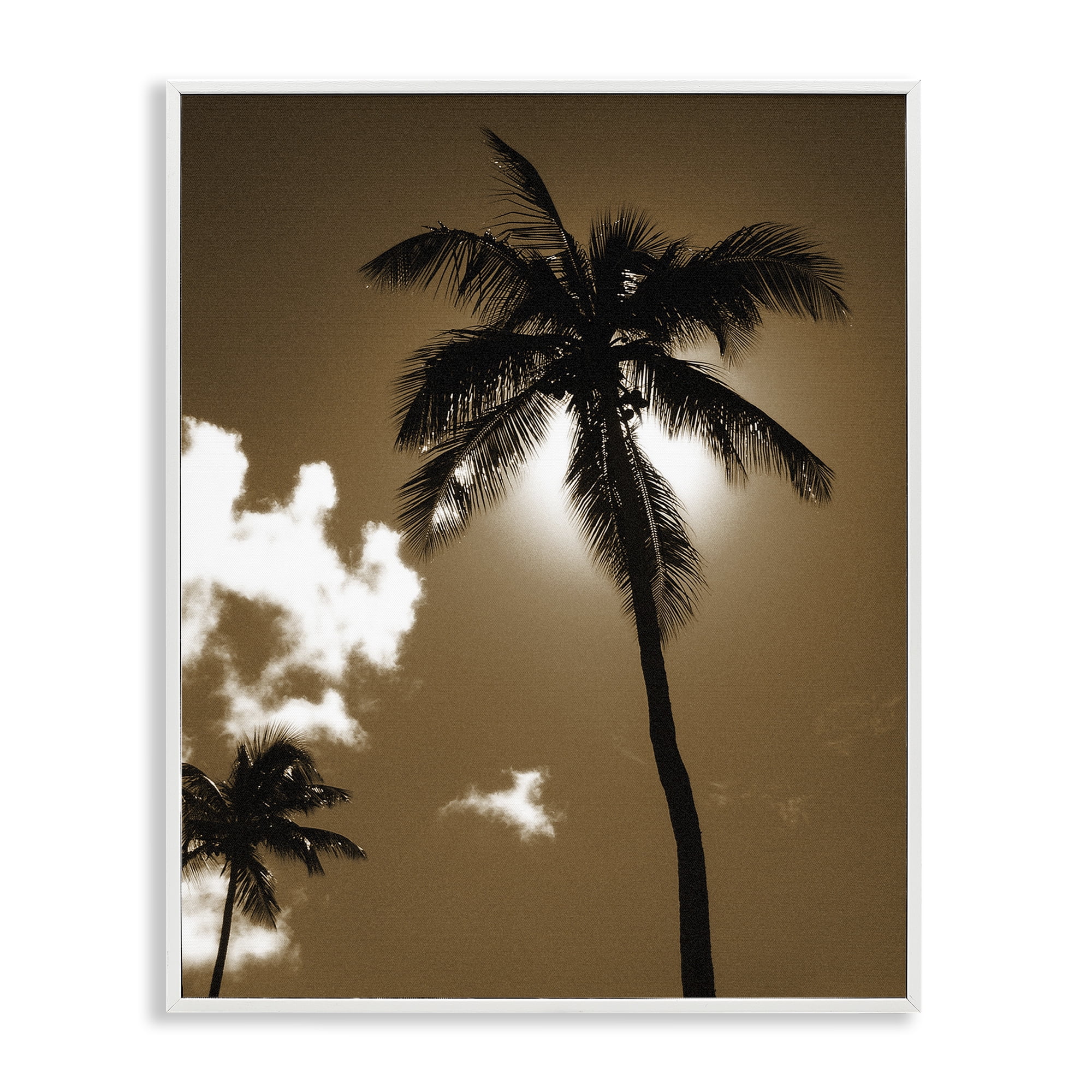 Stupell Industries Sunlight Through Palms Landscape Photography White Framed Art Print Wall Art, 11 x 14