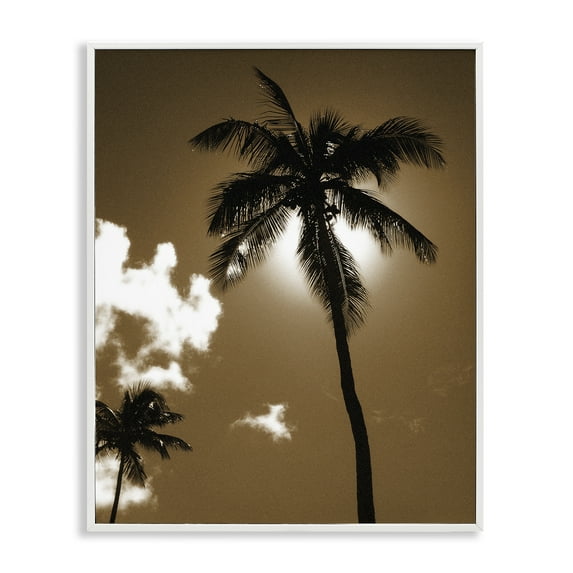 Stupell Industries Sunlight Through Palms Landscape Photography White Framed Art Print Wall Art, 24 x 30