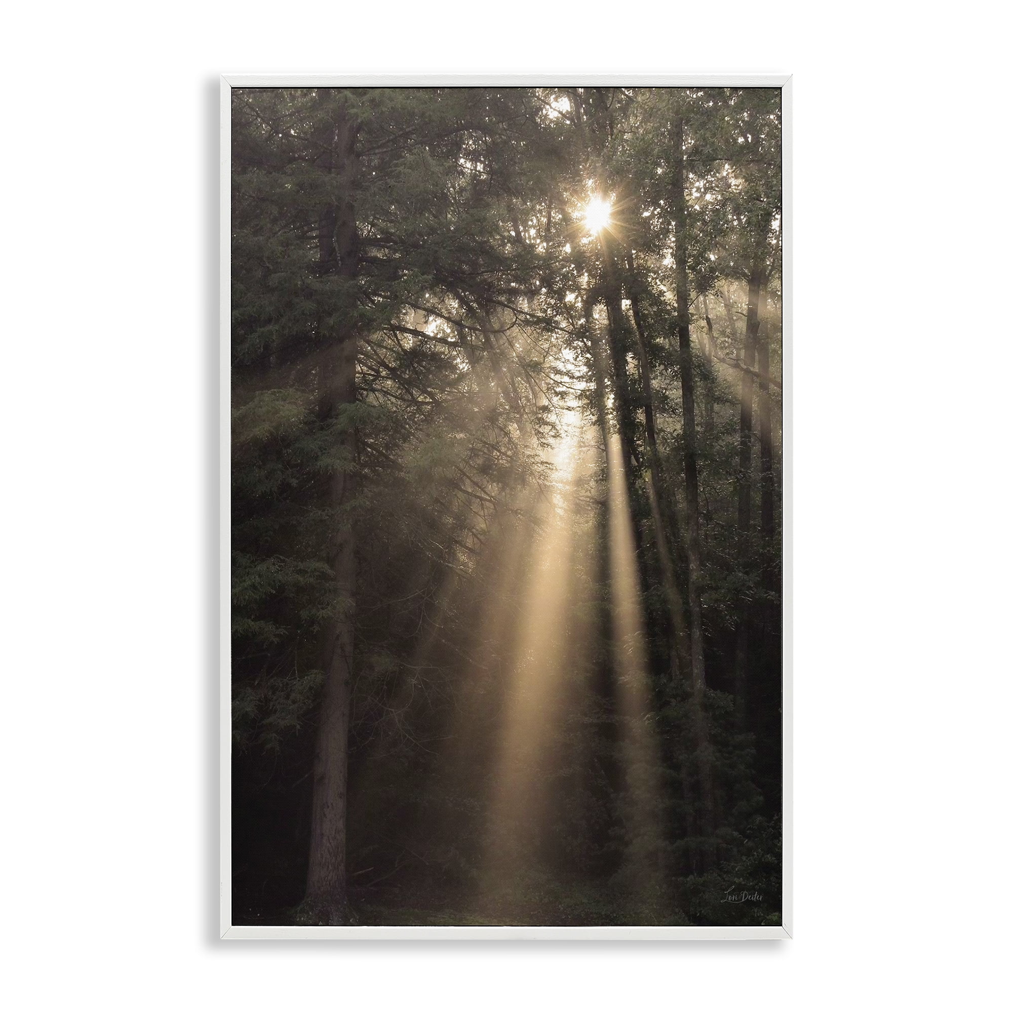 Stupell Industries Sunlight Through Tree Canopy Landscape & Nature Photography White Framed Art Print Wall Art, 20 x 30
