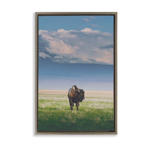 Stupell Industries Sunlight over Lone Bison Brown Framed Floater Canvas Wall Art, design by Annie Bailey Art