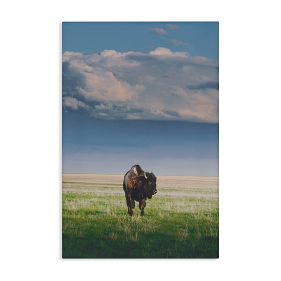 Stupell Industries Sunlight over Lone Bison Canvas Wall Art, design by Annie Bailey Art