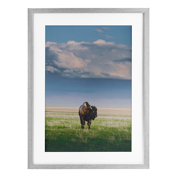 Stupell Industries Sunlight over Lone Bison Gray Framed Print Under Glass, design by Annie Bailey Art