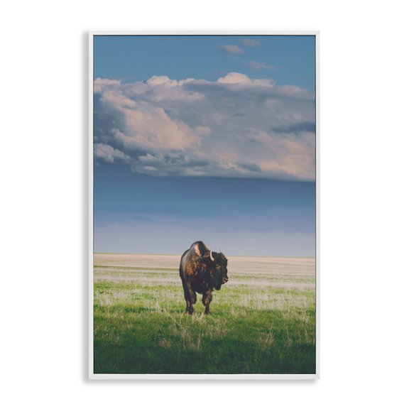 Stupell Industries Sunlight over Lone Bison White Framed Giclee Art, design by Annie Bailey Art