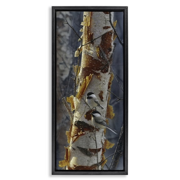 Stupell Industries Sunlit Birch Chickadees Black Framed Floater Canvas Wall Art design by Collin Bogle, 25 x 11
