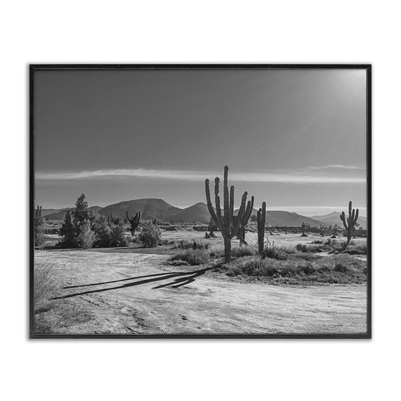 Stupell Industries Sunlit Cactus Valley Black Framed Giclee Art design by Norm Stelfox, 11 x 14