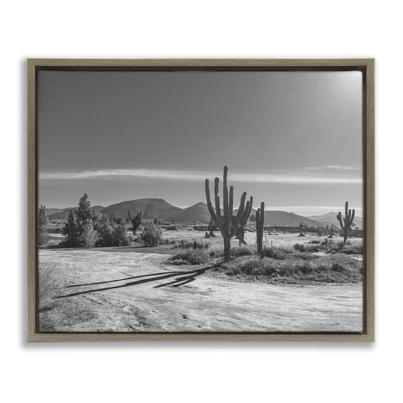Stupell Industries Sunlit Cactus Valley Brown Framed Floater Canvas Wall Art design by Norm Stelfox, 17 x 21