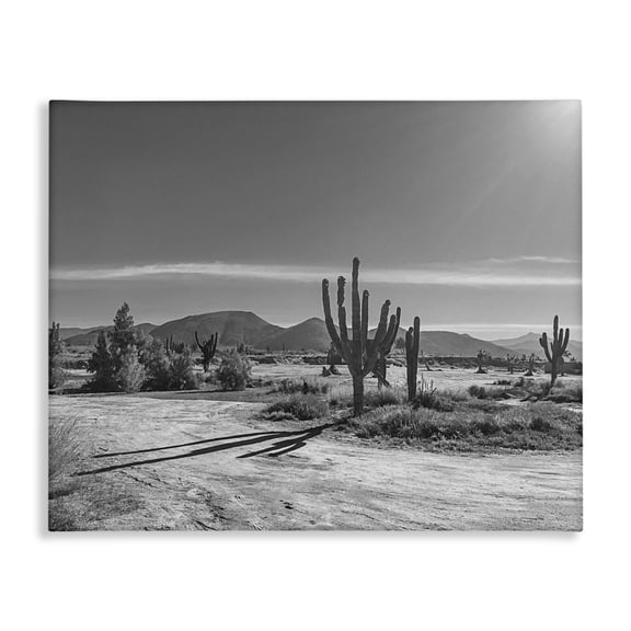 Stupell Industries Sunlit Cactus Valley Canvas Wall Art design by Norm Stelfox, 36 x 48