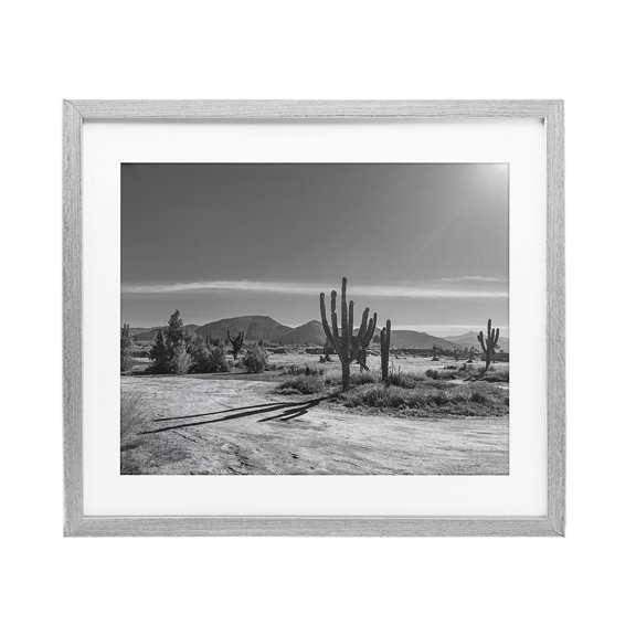 Stupell Industries Sunlit Cactus Valley Gray Framed Print Under Glass design by Norm Stelfox, 17 x 21