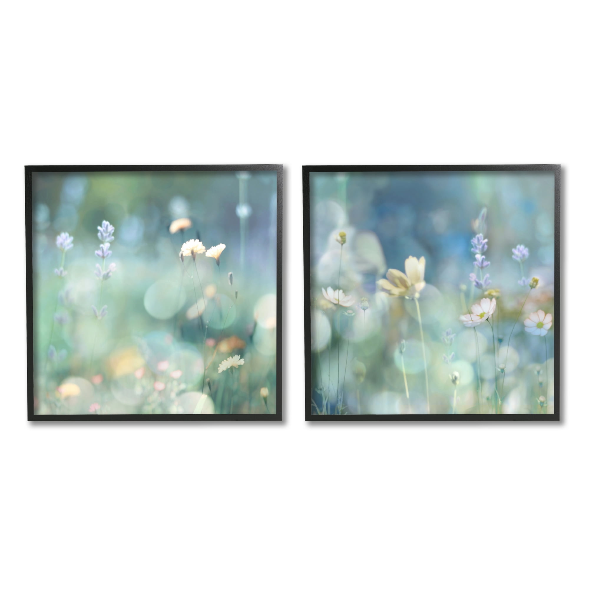 Stupell Industries Sunlit Daisy Field Botanical & Floral Photography Black Framed Art Print Wall Art, 17 x 17