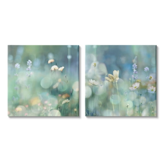 Stupell Industries Sunlit Daisy Field Botanical & Floral Photography Gallery Wrapped Canvas Art Print Wall Art, 17 x 17, Set of 2