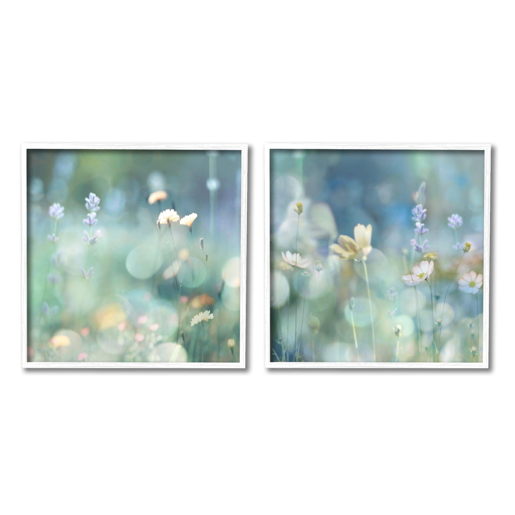 Stupell Industries Sunlit Daisy Field Botanical & Floral Photography White Framed Art Print Wall Art, 12 x 12