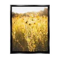Stupell Industries Sunlit Daisy Meadow Landscape Photography Black Floater Framed Canvas Art Print Wall Art, 17 x 21