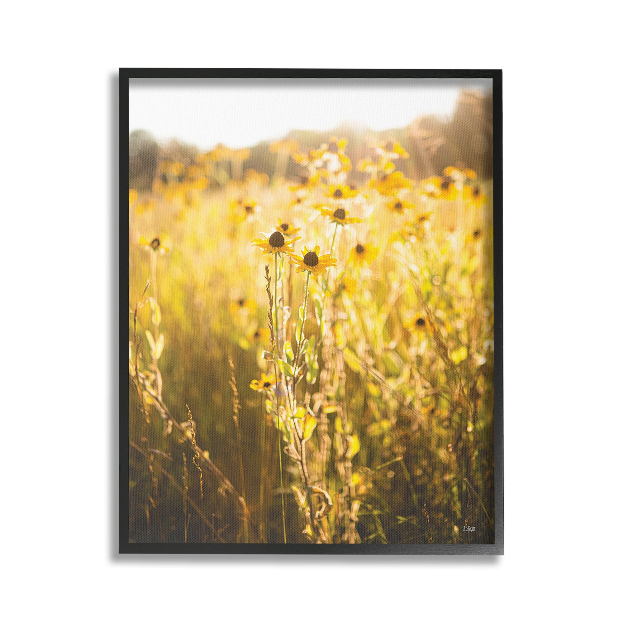 Stupell Industries Sunlit Daisy Meadow Landscape Photography Black Framed Art Print Wall Art, 16 x 20