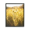 thumbnail image 1 of Stupell Industries Sunlit Daisy Meadow Landscape Photography Black Framed Art Print Wall Art, 24 x 30, 1 of 9