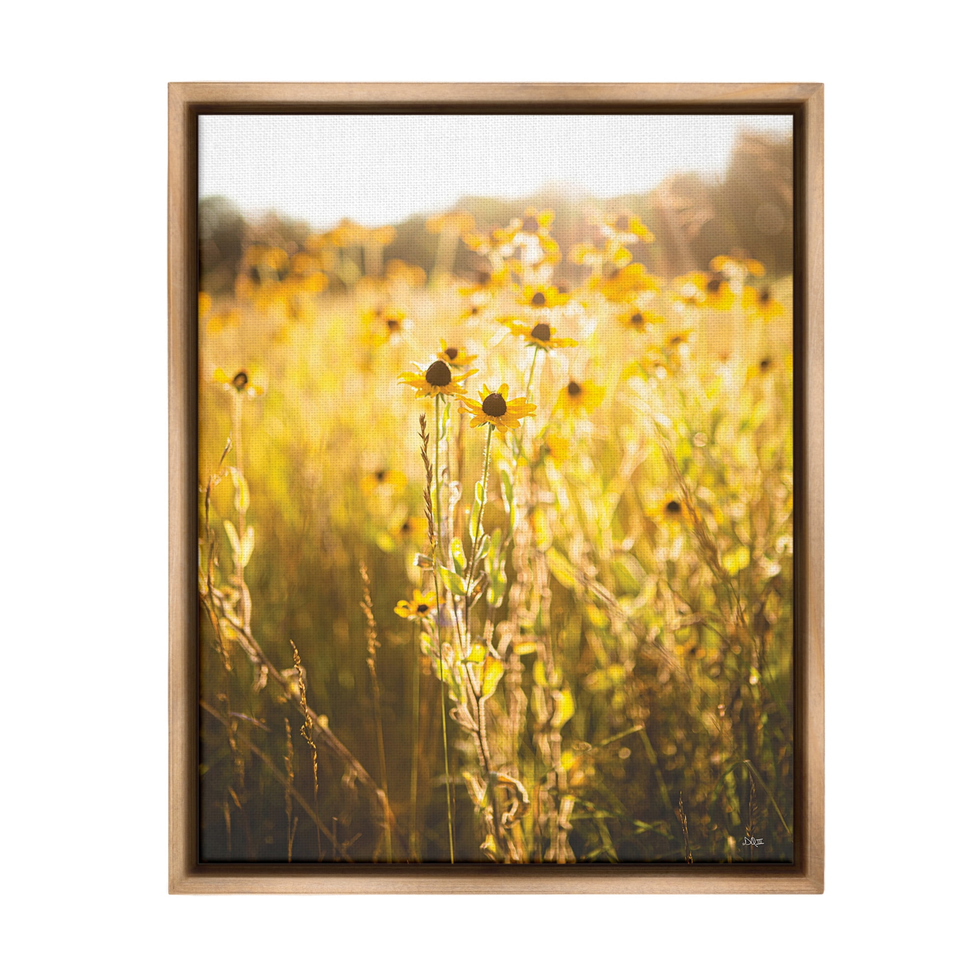 Stupell Industries Sunlit Daisy Meadow Landscape Photography Brown Floater Framed Canvas Art Print Wall Art, 17 x 21